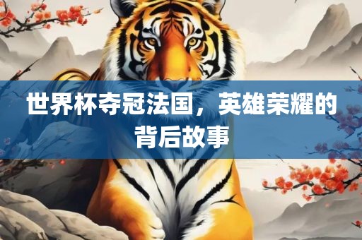 世界杯夺冠法国，英雄荣耀的背后故事眉山市正发家政服务有限公司