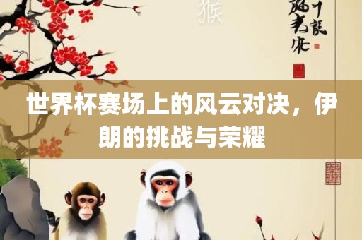 世界杯赛场上的风云对决，伊朗的挑战与荣耀眉山市正发家政服务有限公司