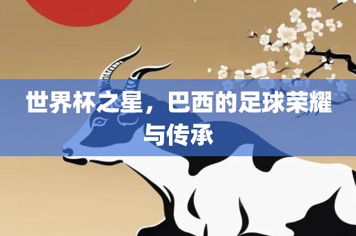 世界杯之星，巴西的足球荣耀与传承
