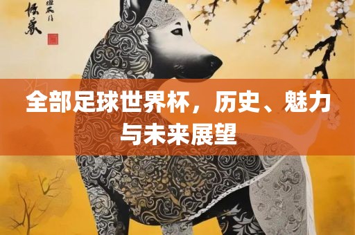 全部足球世界杯，历史、魅力与未来展望眉山市正发家政服务有限公司