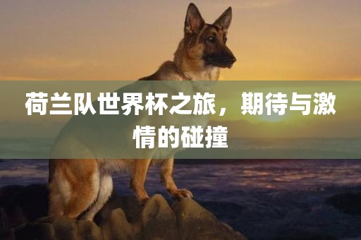 荷兰队世界杯之旅，期待与激情的碰撞