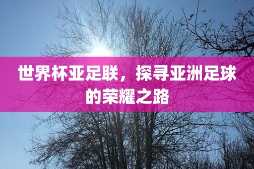 世界杯亚足联，探寻亚洲足球的荣耀之路眉山市正发家政服务有限公司