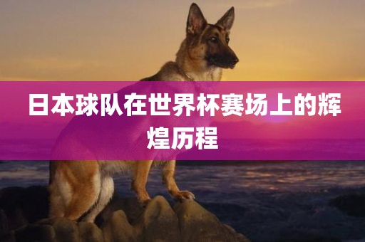 日本球队在世界杯赛场上的辉煌历程眉山市正发家政服务有限公司