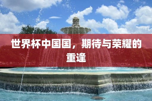世界杯中国国，期待与荣耀的重逢