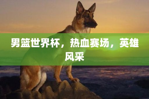 男篮世界杯，热血赛场，英雄风采