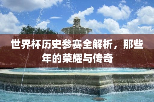 世界杯历史参赛全解析，那些年的荣耀与传奇眉山市正发家政服务有限公司
