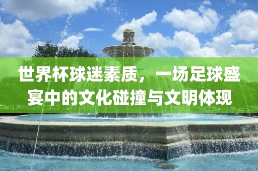 世界杯球迷素质，一场足球盛宴中的文化碰撞与文明体现眉山市正发家政服务有限公司