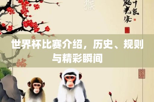 世界杯比赛介绍，历史、规则与精彩瞬间眉山市正发家政服务有限公司