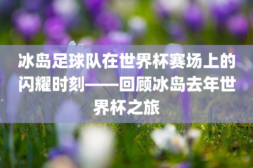 冰岛足球队在世界杯赛场上的闪耀时刻——回顾冰岛去年世界杯之旅