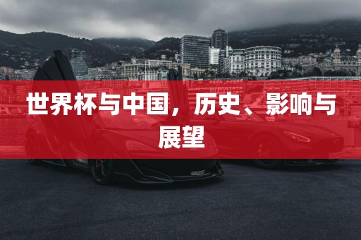 世界杯与中国，历史、影响与展望
