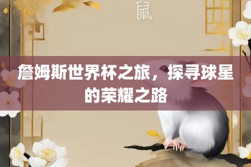 詹姆斯世界杯之旅，探寻球星的荣耀之路眉山市正发家政服务有限公司