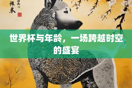 世界杯与年龄，一场跨越时空的盛宴眉山市正发家政服务有限公司