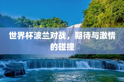 世界杯波兰对战，期待与激情的碰撞眉山市正发家政服务有限公司