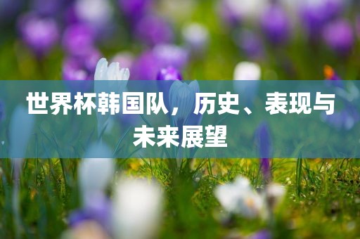 世界杯韩国队，历史、表现与未来展望