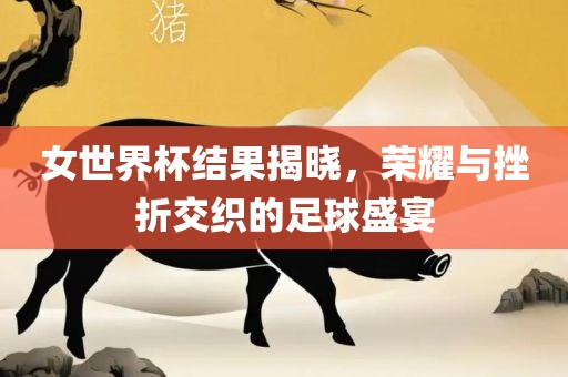 女世界杯结果揭晓，荣耀与挫折交织的足球盛宴