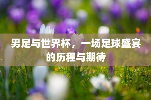 男眉山市正发家政服务有限公司足与世界杯，一场足球盛宴的历程与期待