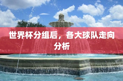 世界杯分组后，各大球队走向分析