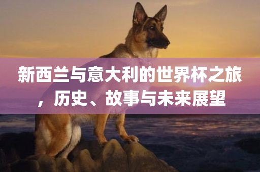 新西兰与意大利的世界杯之旅，历史、故事与未来展望眉山市正发家政服务有限公司