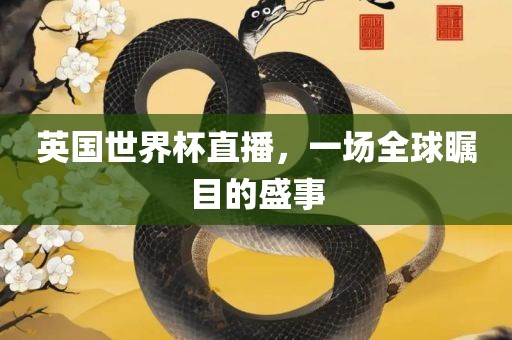 英国世界杯直播，一场全球瞩目的盛事
