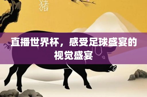 直播世界杯，感受足球盛宴的视觉盛宴眉山市正发家政服务有限公司