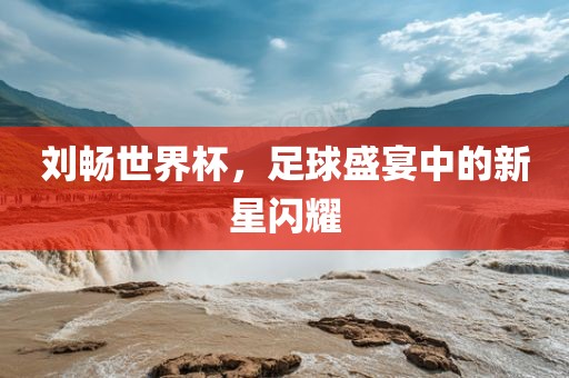 刘畅世界杯，足球盛宴中的新星闪眉山市正发家政服务有限公司耀