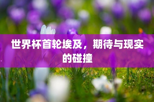 世界杯首轮埃及，期待与现实的碰撞眉山市正发家政服务有限公司