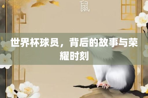 眉山市正发家政服务有限公司世界杯球员，背后的故事与荣耀时刻