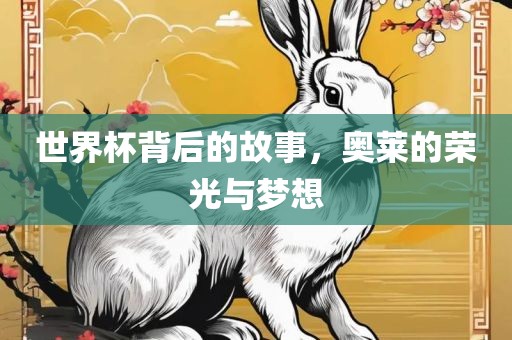 世界杯背后的故事，奥莱的荣光与梦想眉山市正发家政服务有限公司