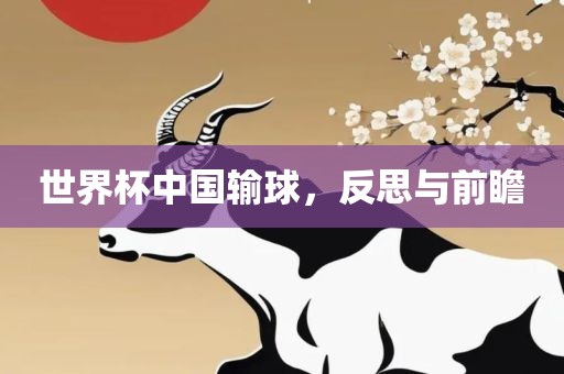 世界杯中国输球，反思与前瞻
