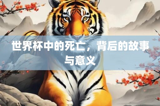 世界杯中的死亡，背后的故事与意义