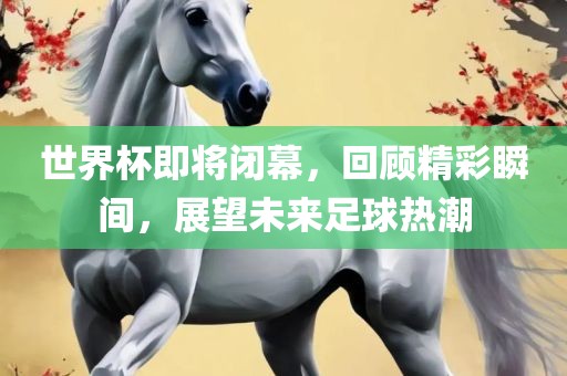 世界杯即将闭幕，回顾精彩瞬间，展望眉山市正发家政服务有限公司未来足球热潮