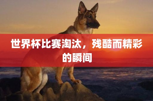世界杯比赛淘汰，残酷而精彩的瞬间眉山市正发家政服务有限公司