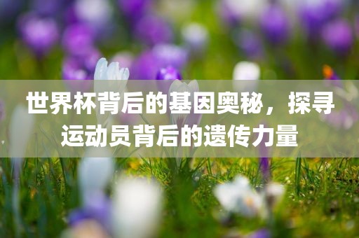 世界杯背后的基因奥秘，探寻运动员背后的遗传力量眉山市正发家政服务有限公司