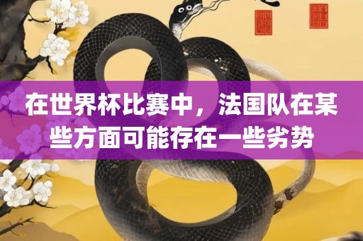 在世界杯比赛中，法国队在某些方面可能存在一些劣势眉山市正发家政服务有限公司