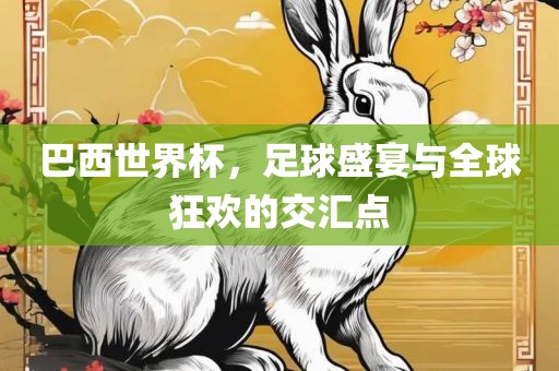 巴西世界杯，足球盛宴与全球狂欢的交汇点眉山市正发家政服务有限公司
