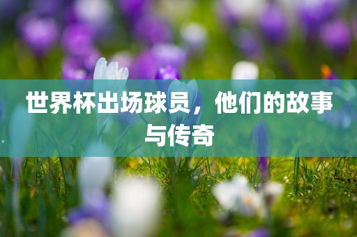 世界杯出场球员，他们的故事与传奇眉山市正发家政服务有限公司
