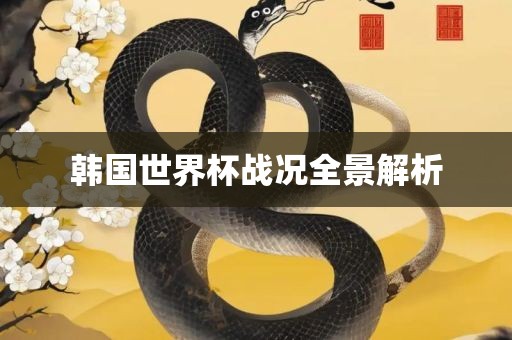 韩国世界杯战况全景解析