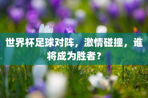 世界杯足球对阵，激情碰撞，谁将成为胜者？