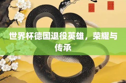 世界杯德国退役英雄，荣耀与传承