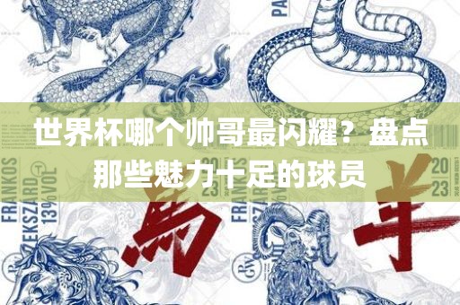 世界杯哪个帅哥最闪耀？盘点那些魅力十足的球员