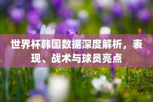 世界杯韩国数据深度解析，眉山市正发家政服务有限公司表现、战术与球员亮点