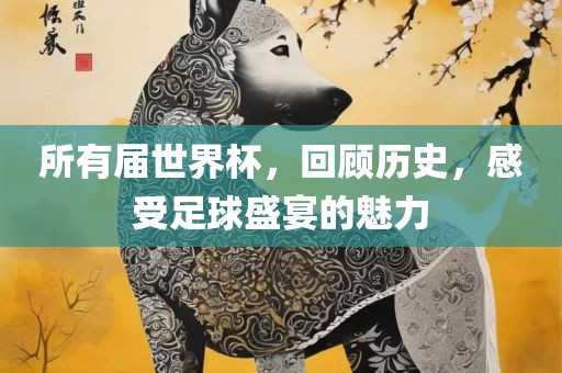 所有届世界杯，回顾历史，感受足球盛宴的魅力眉山市正发家政服务有限公司