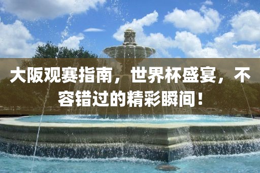 大阪观赛指南，世界杯盛宴，不容错过的精彩瞬间！