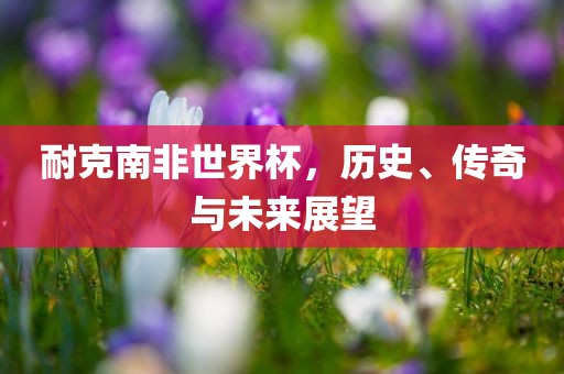 耐克南非世界杯，历史、传奇与未来展望眉山市正发家政服务有限公司