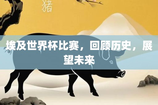 埃及世界杯比赛，回顾历史，展望未来