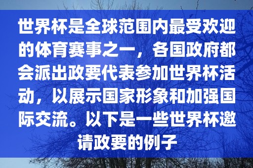 世界杯是全球范围内最受欢迎的体育赛事之一，各国政府都会派出政要代表参加世界杯活动，以展示国家形象和加强国际交流。以下是一些世界杯邀请政要的例子眉山市正发家政服务有限公司