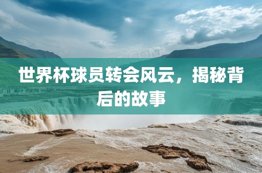 世界杯球员转会风云，揭秘背后的故事眉山市正发家政服务有限公司
