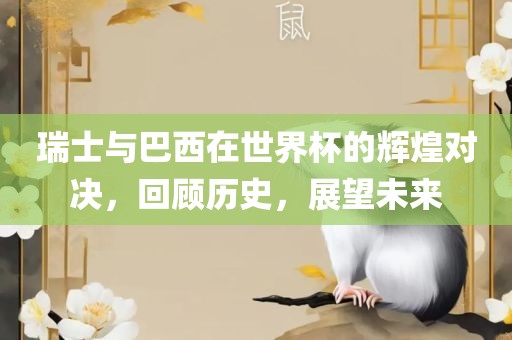 瑞士与巴西在世界杯的辉煌对决，回顾历史，展望未来