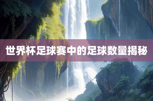 世界杯足球赛中的足球数量揭秘