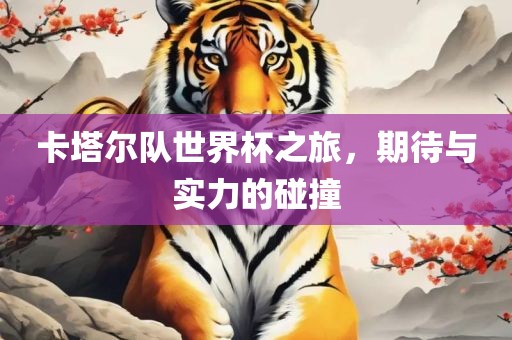 卡塔尔队世界杯之旅，期待与实力的碰撞眉山市正发家政服务有限公司